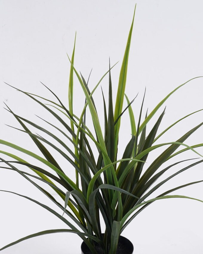 Artificial succulent 43*43*60cm Grass in PP pot GS-02225017 2025SEP YeahFlower is one of Chinese leading OEM manufacturers and exporters , supplying the silk flowers, wholesale artificial trees