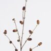 Artificial Branch fruit 15*8*99cm Acorn single stem GS-51625081 2026Apr YeahFlower is one of Chinese leading OEM manufacturers and exporters , supplying the silk flowers, wholesale artificial trees