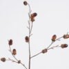 Artificial Branch fruit 14*5*69cm Acorn single stem GS-51625082 2026Apr YeahFlower is one of Chinese leading OEM manufacturers and exporters , supplying the silk flowers, wholesale artificial trees
