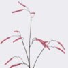 Artificial Branch fruit 40*2*90cm Bristlegrass stem S GS-53625020 2026Apr YeahFlower is one of Chinese leading OEM manufacturers and exporters , supplying the silk flowers, wholesale artificial trees