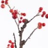 Artificial Branch fruit Crabapple single stem GS-30025020-R1_4 Artificial Branch fruit 12*4*49cm Crabapple single stem GS-30025020-R1 2026Apr YeahFlower is one of Chinese leading OEM manufacturers and exporters , supplying the silk flowers, wholesale artificial trees