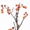 Artificial Branch fruit 12*4*49cm Crabapple single stem GS-30025020 2026Apr YeahFlower is one of Chinese leading OEM manufacturers and exporters , supplying the silk flowers, wholesale artificial trees