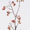 Artificial Branch fruit 15*3*69cm Crabapple single stem GS-30025021 2026Apr YeahFlower is one of Chinese leading OEM manufacturers and exporters , supplying the silk flowers, wholesale artificial trees