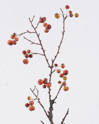 Artificial Branch fruit 15*3*69cm Crabapple single stem GS-30025021 2026Apr YeahFlower is one of Chinese leading OEM manufacturers and exporters , supplying the silk flowers, wholesale artificial trees Artificial Branch fruit 15*3*69cm Crabapple single stem GS-30025021 2026Apr YeahFlower is one of Chinese leading OEM manufacturers and exporters , supplying the silk flowers, wholesale artificial trees