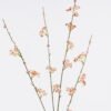 Artificial Branch fruit 8*4*102cm Flower single stem GS-30025022 2026Apr YeahFlower is one of Chinese leading OEM manufacturers and exporters , supplying the silk flowers, wholesale artificial trees
