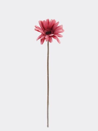 Artificial Flower 10*10*61cm African daisy single stem GS-14525053-W1 2026Mar 3,000+ sqm showroom with thousands of artificial flowers, plants & trees ready for global sourcing.