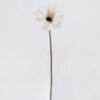 Artificial Flower African daisy single stem GS-14525053-W1_1 Artificial Flower 10*10*61cm African daisy single stem GS-14525053-W1 2026Mar YeahFlower is one of Chinese leading OEM manufacturers and exporters , supplying the silk flowers, wholesale artificial trees