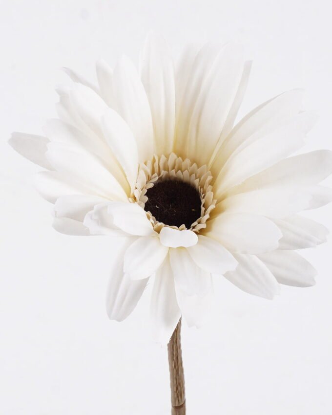 Artificial Flower African daisy single stem GS-14525053-W1_6 Artificial Flower 10*10*61cm African daisy single stem GS-14525053-W1 2026Mar YeahFlower is one of Chinese leading OEM manufacturers and exporters , supplying the silk flowers, wholesale artificial trees
