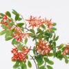 Artificial Flower Aglaia odorata Lour single stem moist real touch GS-82425002-O2_5 Artificial Flower 32*10*87cm Aglaia odorata Lour single stem/moist real touch GS-82425002-O2 2026May 3,000+ sqm showroom with thousands of artificial flowers, plants & trees ready for global sourcing.