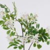 Artificial Flower Aglaia odorata Lour single stem moist real touch GS-82425002-W1_4 Artificial Flower 32*10*87cm Aglaia odorata Lour single stem/moist real touch GS-82425002 2026May 3,000+ sqm showroom with thousands of artificial flowers, plants & trees ready for global sourcing.