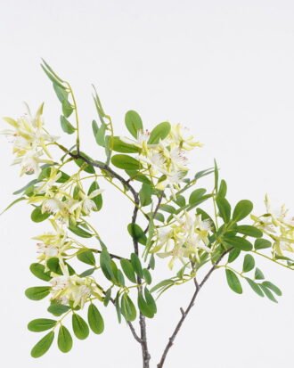 Artificial Flower 32*10*87cm Aglaia odorata Lour single stem/moist real touch GS-82425002 2026May 3,000+ sqm showroom with thousands of artificial flowers, plants & trees ready for global sourcing.