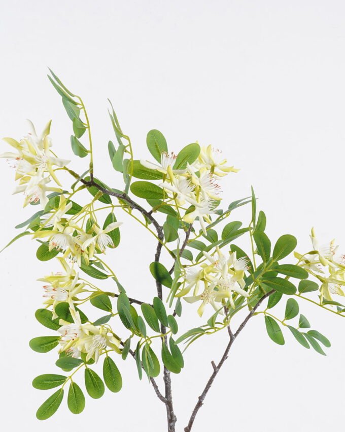 Artificial Flower 32*10*87cm Aglaia odorata Lour single stem/moist real touch GS-82425002 2026May 3,000+ sqm showroom with thousands of artificial flowers, plants & trees ready for global sourcing.