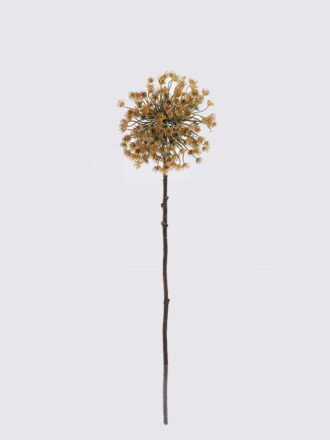 Artificial Flower 16*14*60cm Ammi*18 single stem GS-15425056 2026Mar 3,000+ sqm showroom with thousands of artificial flowers, plants & trees ready for global sourcing.