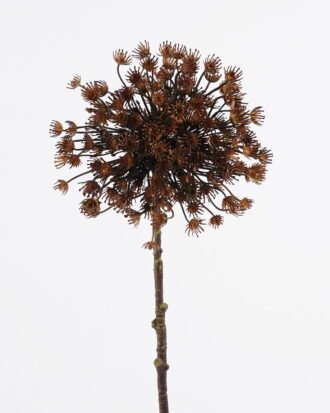 Artificial Flower 20*15*93cm Ammi*18 single stem GS-15425055 2026Mar YeahFlower is one of Chinese leading OEM manufacturers and exporters , supplying the silk flowers, wholesale artificial trees Artificial Flower 20*15*93cm Ammi*18 single stem GS-15425055 2026Mar YeahFlower is one of Chinese leading OEM manufacturers and exporters , supplying the silk flowers, wholesale artificial trees