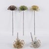 Artificial Flower 16*14*60cm Ammi*18 single stem GS-15425056 2026Mar YeahFlower is one of Chinese leading OEM manufacturers and exporters , supplying the silk flowers, wholesale artificial trees