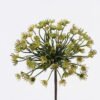 Artificial Flower 16*14*60cm Ammi*18 single stem GS-15425056 2026Mar YeahFlower is one of Chinese leading OEM manufacturers and exporters , supplying the silk flowers, wholesale artificial trees
