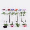 Artificial Flower 10*10*34.5cm Anemone single stem GS-14525057 2026Mar YeahFlower is one of Chinese leading OEM manufacturers and exporters , supplying the silk flowers, wholesale artificial trees