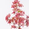 Artificial Flower 20*14*80cm Apple blossom  single stem GS-27925102 2026Mar YeahFlower is one of Chinese leading OEM manufacturers and exporters , supplying the silk flowers, wholesale artificial trees