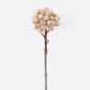 Artificial Flower Apple single stem GS-57725011-O1_7 Artificial Flower 7*7*29cm Apple single stem GS-57725011-O1 2026Apr YeahFlower is one of Chinese leading OEM manufacturers and exporters , supplying the silk flowers, wholesale artificial trees