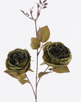 Artificial Flower 17*7*92cm Austin Rose *2 single stem GS-71625026-G1 2026May 3,000+ sqm showroom with thousands of artificial flowers, plants & trees ready for global sourcing.