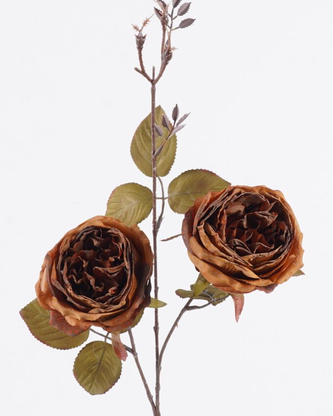 Artificial Flower 17*7*92cm Austin Rose *2 single stem GS-71625026 2026May 3,000+ sqm showroom with thousands of artificial flowers, plants & trees ready for global sourcing.