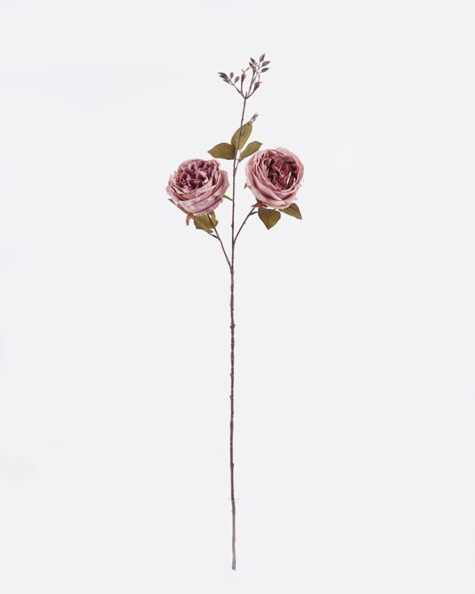 Artificial Flower 17*7*92cm Austin Rose *2 single stem GS-71625026 2026May 3,000+ sqm showroom with thousands of artificial flowers, plants & trees ready for global sourcing.