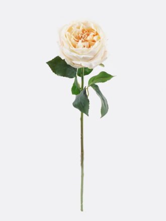 Artificial Flower 10*7*48cm Austin rose single stem/moist real touch GS-46125006 2026Apr 3,000+ sqm showroom with thousands of artificial flowers, plants & trees ready for global sourcing.