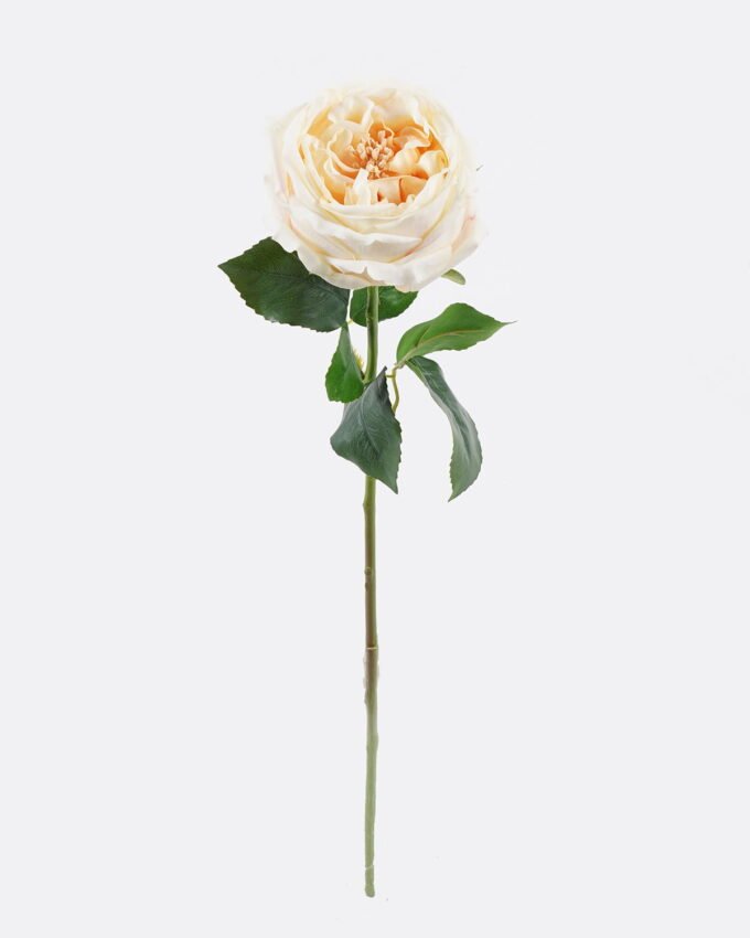 Artificial Flower 10*7*48cm Austin rose single stem/moist real touch GS-46125006-C1 2026Apr YeahFlower is one of Chinese leading OEM manufacturers and exporters , supplying the silk flowers, wholesale artificial trees