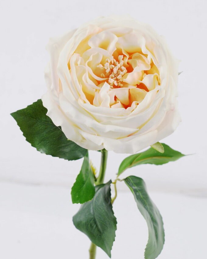 Artificial Flower 10*7*48cm Austin rose single stem/moist real touch GS-46125006-C1 2026Apr YeahFlower is one of Chinese leading OEM manufacturers and exporters , supplying the silk flowers, wholesale artificial trees