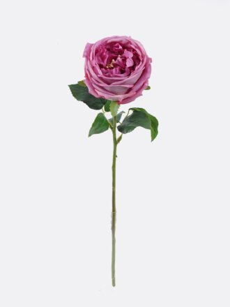 Artificial Flower 10*7*48cm Austin rose single stem/moist real touch GS-46125006-C1 2026Apr 3,000+ sqm showroom with thousands of artificial flowers, plants & trees ready for global sourcing.