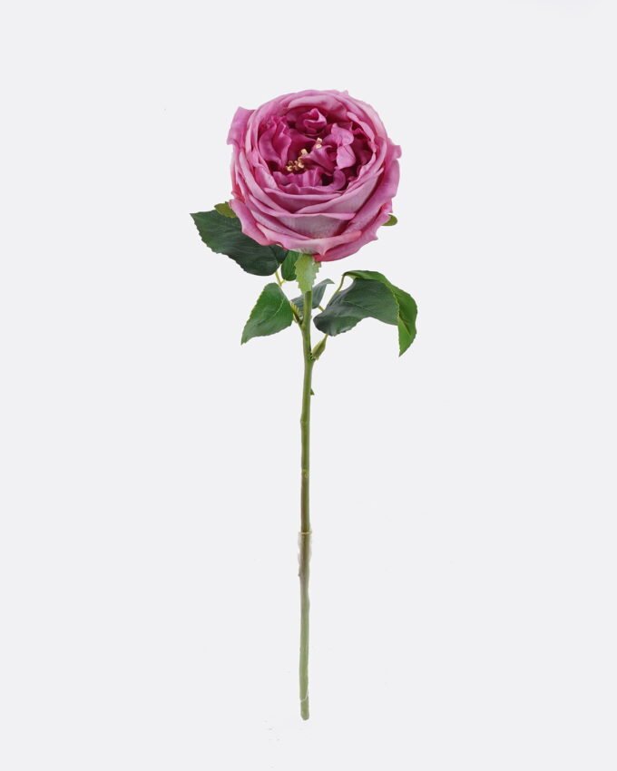 Artificial Flower Austin rose single stem moist real touch GS-46125006-Z2_5 Artificial Flower 10*7*48cm Austin rose single stem/moist real touch GS-46125006-Z2 2026Apr YeahFlower is one of Chinese leading OEM manufacturers and exporters , supplying the silk flowers, wholesale artificial trees