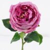Artificial Flower Austin rose single stem moist real touch GS-46125006-Z2_6 Artificial Flower 10*7*48cm Austin rose single stem/moist real touch GS-46125006-Z2 2026Apr YeahFlower is one of Chinese leading OEM manufacturers and exporters , supplying the silk flowers, wholesale artificial trees