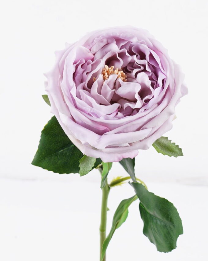 Artificial Flower 10*7*48cm Austin rose single stem/moist real touch GS-46125006 2026Apr YeahFlower is one of Chinese leading OEM manufacturers and exporters , supplying the silk flowers, wholesale artificial trees
