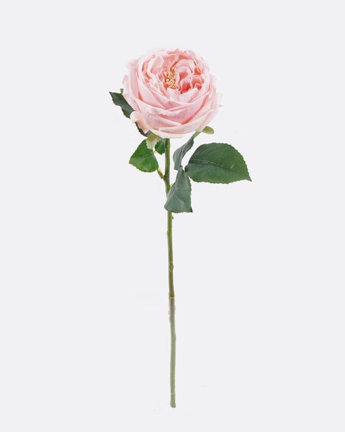 Artificial Flower 10*7*48cm Austin rose single stem/moist real touch GS-46125006 2026Apr YeahFlower is one of Chinese leading OEM manufacturers and exporters , supplying the silk flowers, wholesale artificial trees