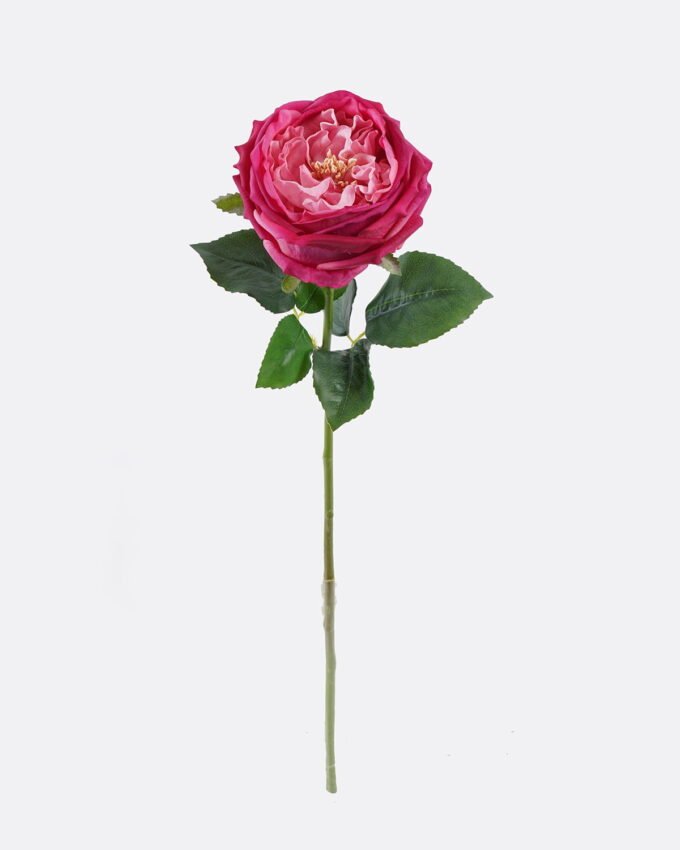 Artificial Flower 10*7*48cm Austin rose single stem/moist real touch GS-46125006 2026Apr YeahFlower is one of Chinese leading OEM manufacturers and exporters , supplying the silk flowers, wholesale artificial trees