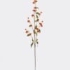 Artificial Flower 13*13*101cm Banks’ rose single stem GS-73825019-O1 2026May 3,000+ sqm showroom with thousands of artificial flowers, plants & trees ready for global sourcing.
