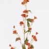 Artificial Flower 13*13*101cm Banks’ rose single stem GS-73825019-O1 2026May 3,000+ sqm showroom with thousands of artificial flowers, plants & trees ready for global sourcing.
