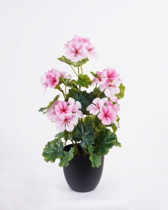 Artificial Flower 21*21*40cm Begonia in PP pot GS-03325159 2026Mar YeahFlower is one of Chinese leading OEM manufacturers and exporters , supplying the silk flowers, wholesale artificial trees Artificial Flower 21*21*40cm Begonia in PP pot GS-03325159 2026Mar YeahFlower is one of Chinese leading OEM manufacturers and exporters , supplying the silk flowers, wholesale artificial trees