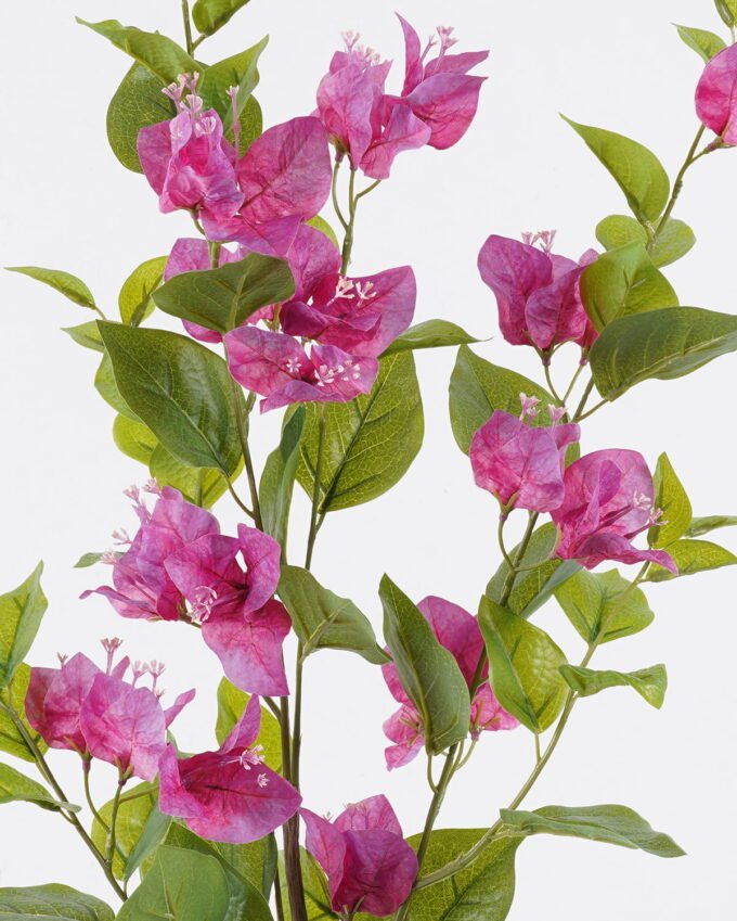 Artificial Flower Bougainvillea speetabilis single stem GS-82125002-Z1_4 Artificial Flower 25*6*90cm Bougainvillea speetabilis single stem GS-82125002-Z1 2026May 3,000+ sqm showroom with thousands of artificial flowers, plants & trees ready for global sourcing.