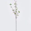 Artificial Flower Butternut nut 23 single stem GS-77525020_4 Artificial Flower 13*5*98cm Butternut nut *23 single stem GS-77525020 2026May 3,000+ sqm showroom with thousands of artificial flowers, plants & trees ready for global sourcing.