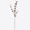 Artificial Flower Butternut nut 23 single stem GS-77525020_5 Artificial Flower 13*5*98cm Butternut nut *23 single stem GS-77525020 2026May 3,000+ sqm showroom with thousands of artificial flowers, plants & trees ready for global sourcing.