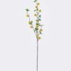 Artificial Flower Butternut nut 23 single stem GS-77525020_6 Artificial Flower 13*5*98cm Butternut nut *23 single stem GS-77525020 2026May 3,000+ sqm showroom with thousands of artificial flowers, plants & trees ready for global sourcing.