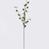 Artificial Flower Butternut nut 23 single stem GS-77525020_8 Artificial Flower 13*5*98cm Butternut nut *23 single stem GS-77525020 2026May 3,000+ sqm showroom with thousands of artificial flowers, plants & trees ready for global sourcing.