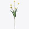 Artificial Flower 14*8*69cm Butternut nut *5 single stem GS-77525023-Y1 2026May 3,000+ sqm showroom with thousands of artificial flowers, plants & trees ready for global sourcing.