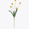 Artificial Flower 14*8*69cm Butternut nut *5 single stem GS-77525023 2026May 3,000+ sqm showroom with thousands of artificial flowers, plants & trees ready for global sourcing.