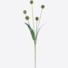 Artificial Flower 14*8*69cm Butternut nut *5 single stem GS-77525023 2026May 3,000+ sqm showroom with thousands of artificial flowers, plants & trees ready for global sourcing.