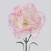 Artificial Flower 8*8*48cm Carnatioan Single stem GS-17725116 2026Mar YeahFlower is one of Chinese leading OEM manufacturers and exporters , supplying the silk flowers, wholesale artificial trees