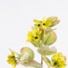 Artificial Flower 20*10*62cm Cercis chinensis single stem GS-70525002-Y1 2026May 3,000+ sqm showroom with thousands of artificial flowers, plants & trees ready for global sourcing.