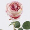 Artificial Flower 18*8*62cm Chinese rose single stem GS-58825050-P2 2026Apr YeahFlower is one of Chinese leading OEM manufacturers and exporters , supplying the silk flowers, wholesale artificial trees