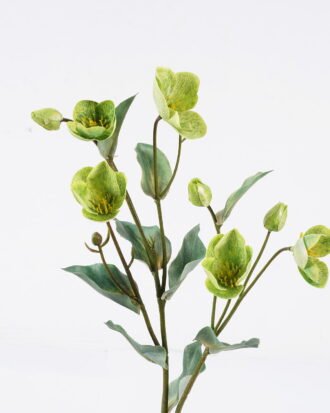 Artificial Flower 25*8*52.5cm Christmas rose single stem GS-14525039 2026Mar YeahFlower is one of Chinese leading OEM manufacturers and exporters , supplying the silk flowers, wholesale artificial trees Artificial Flower 25*8*52.5cm Christmas rose single stem GS-14525039 2026Mar YeahFlower is one of Chinese leading OEM manufacturers and exporters , supplying the silk flowers, wholesale artificial trees